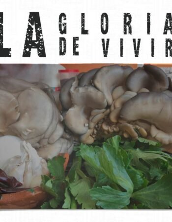 Las Glorias de Ameca